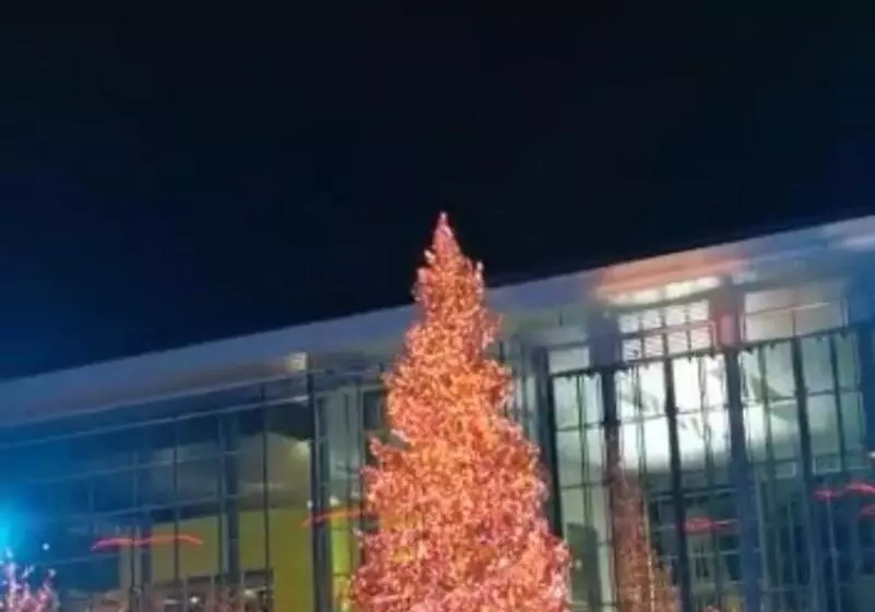 Die Wolfs Burg 50qm & Zentrumsnah