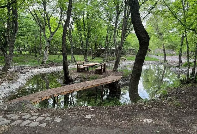 Qusar Forest