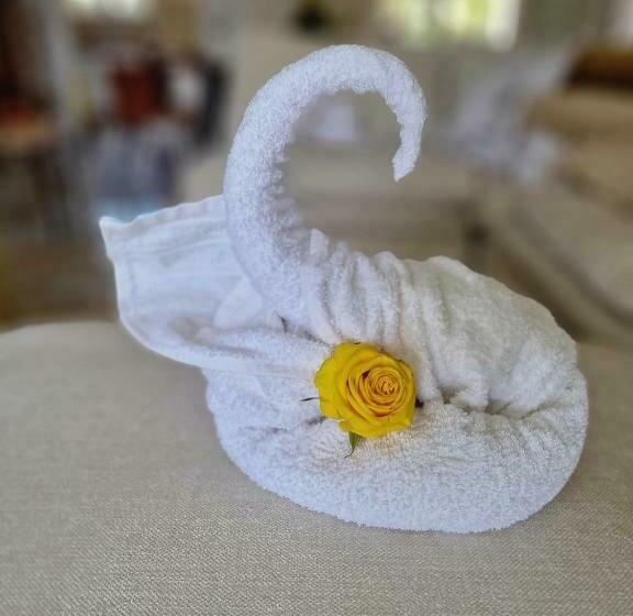 Front Cathédrale Pointe à Pitre