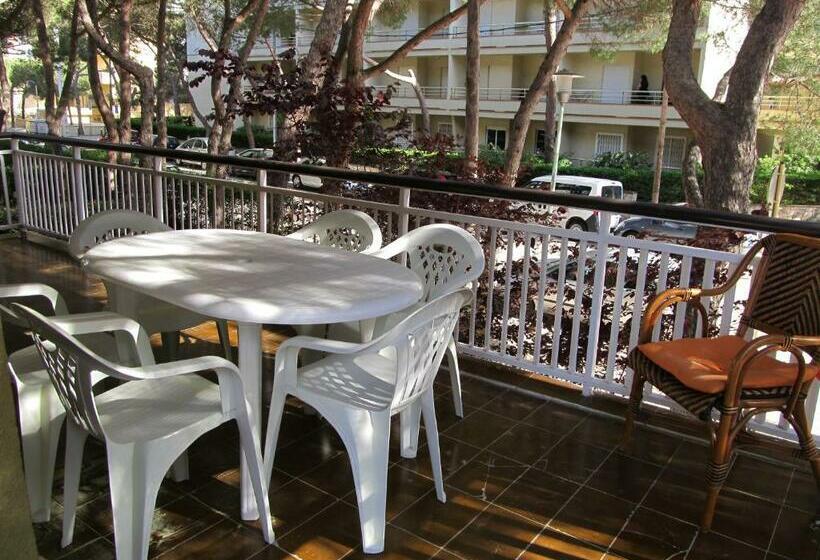 Platja D Aro   Résidence Athenea 100m De La Plage   80m2   Terrasse 30m2   3 Ch   2 S De Bains