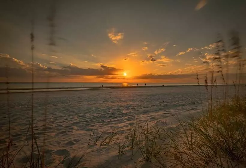 Spinnakers Reach 833