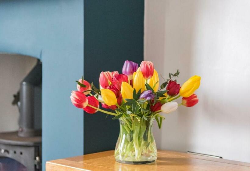 Castle View   Charming Cottage With Views Of Dover Castle