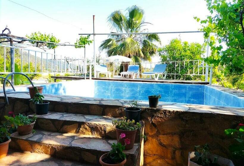 Eki̇nci̇k Te Vi̇lla Taş Ev