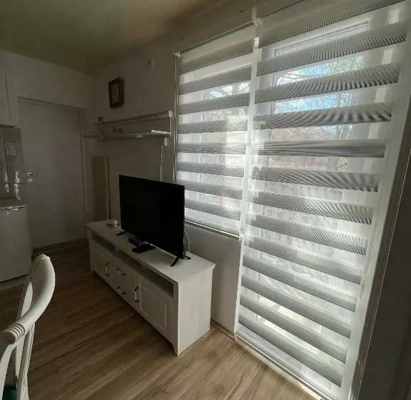 Apartman Vasić