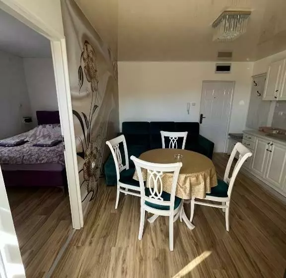 Apartman Vasić