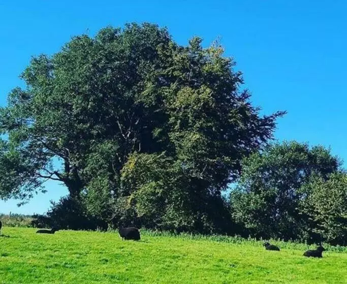 Bramble Cottage On The Edge Of Exmoor