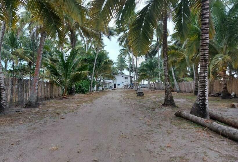 Cañaveral De Cojimíes Departamento Frente Al Mar