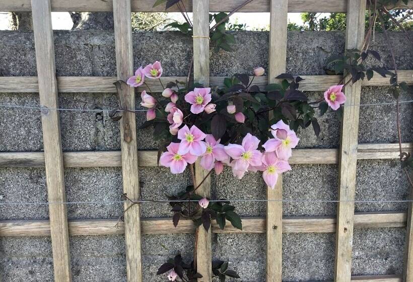 Remarkable 4 Bed House In St Minver Rock