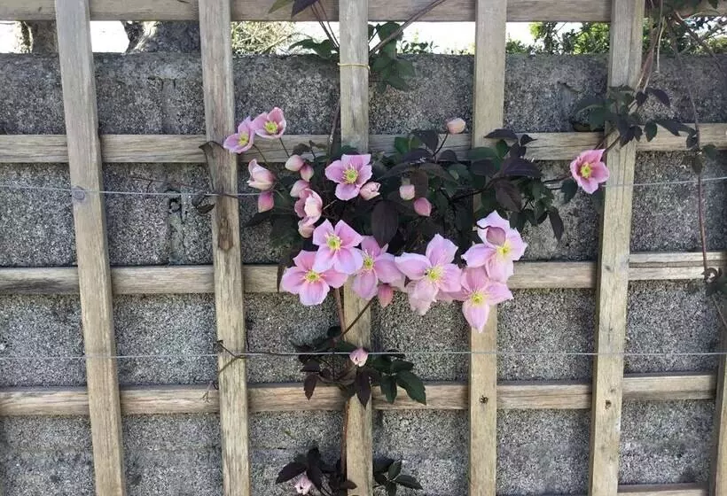 Remarkable 4 Bed House In St Minver Rock