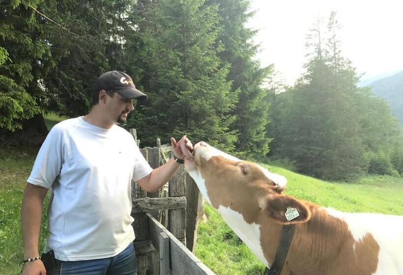 Hotell Apart Bauernhof ,,becka Hof´´