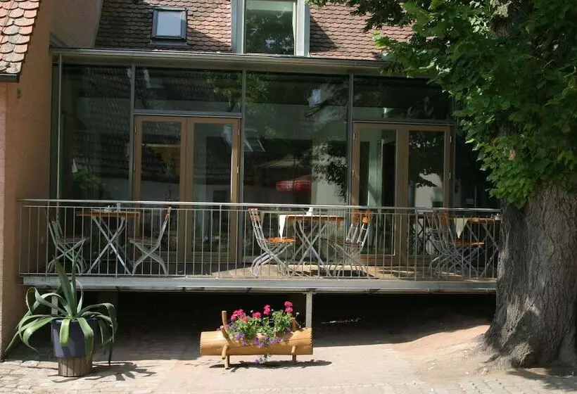 ホテル Und Gasthof Ritter St. Georg