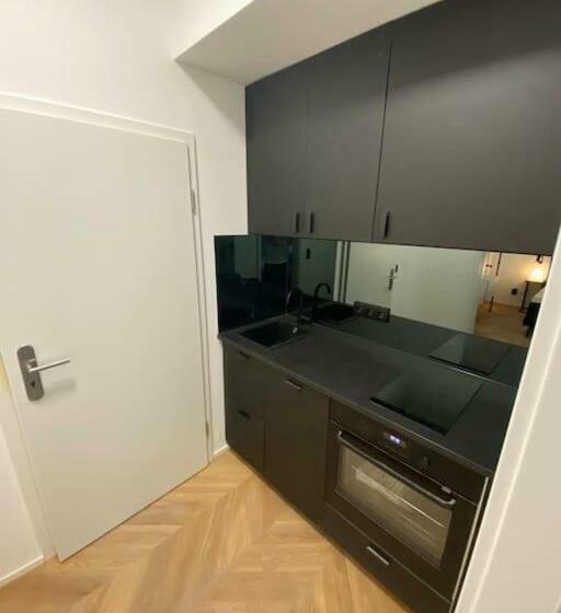 Design Apartment In The Centre Of Vienna