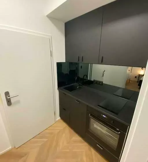 Design Apartment In The Centre Of Vienna