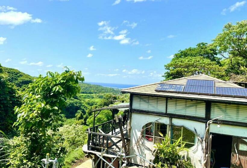 やんばる月光荘一棟貸しロッジ