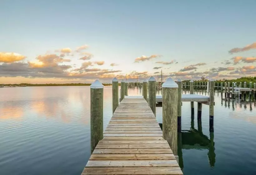 Contemporary Waves By Brightwild Huge Pool, Dock