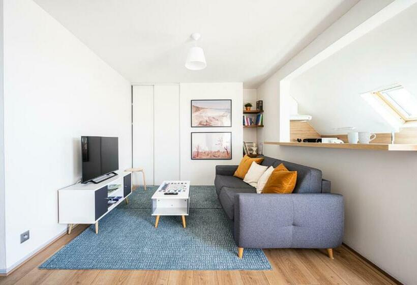 Ideal Pro 10min Gare Hypercentre Wifi Longuedurée