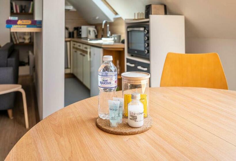 Ideal Pro 10min Gare Hypercentre Wifi Longuedurée