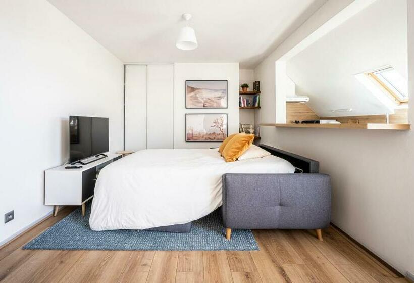 Ideal Pro 10min Gare Hypercentre Wifi Longuedurée