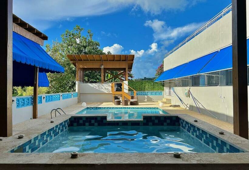 Casa Colinas: El Yunque Rainforest Villa With Pool, Heated Jacuzzi & Terrace