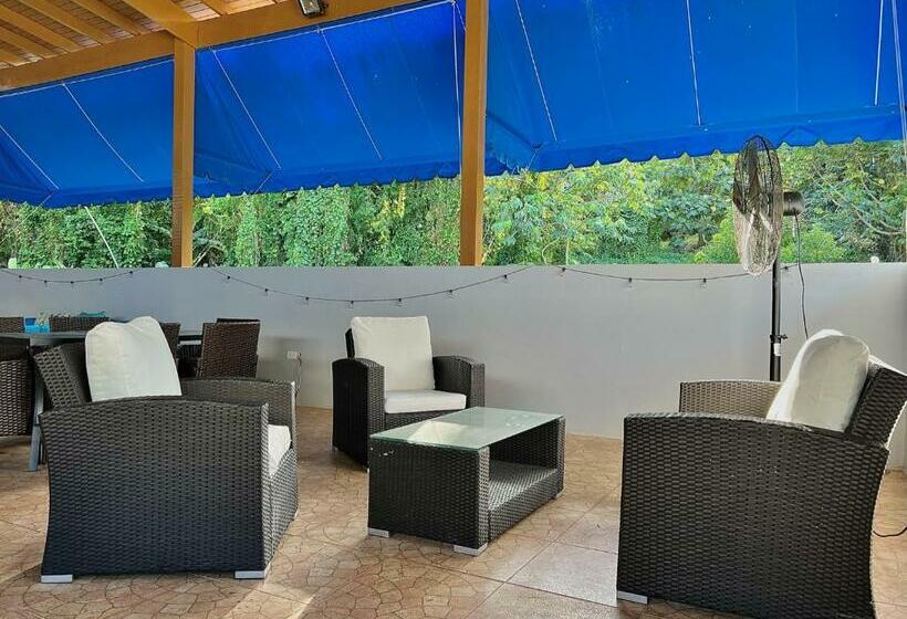 Casa Colinas: El Yunque Rainforest Villa With Pool, Heated Jacuzzi & Terrace