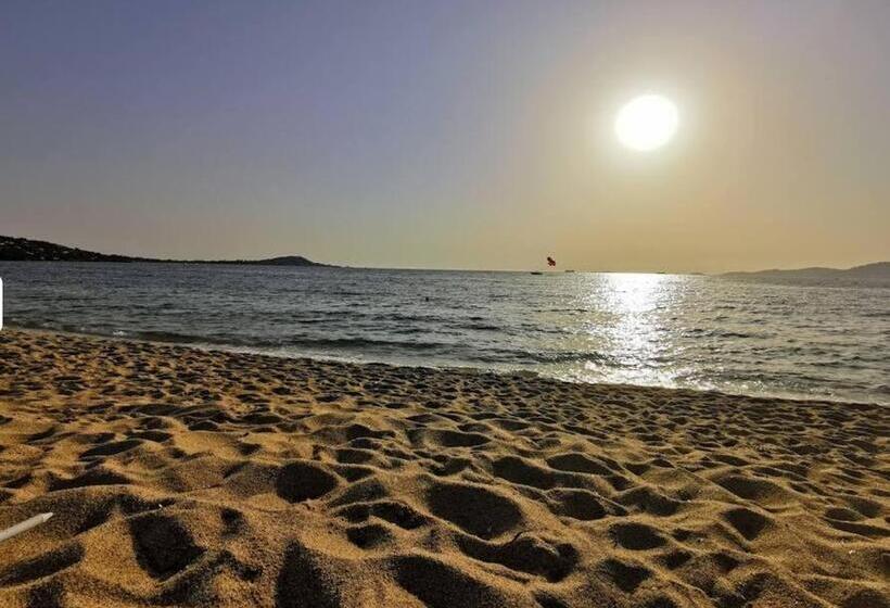 Domaine D Agosta  Porticcio  Villas Acum Havre De Paix Proche Plage  Vue Mer Et îles Sanguinaires