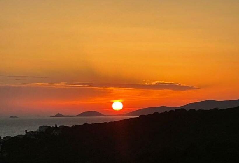 Domaine D Agosta  Porticcio  Villas Acum Havre De Paix Proche Plage  Vue Mer Et îles Sanguinaires