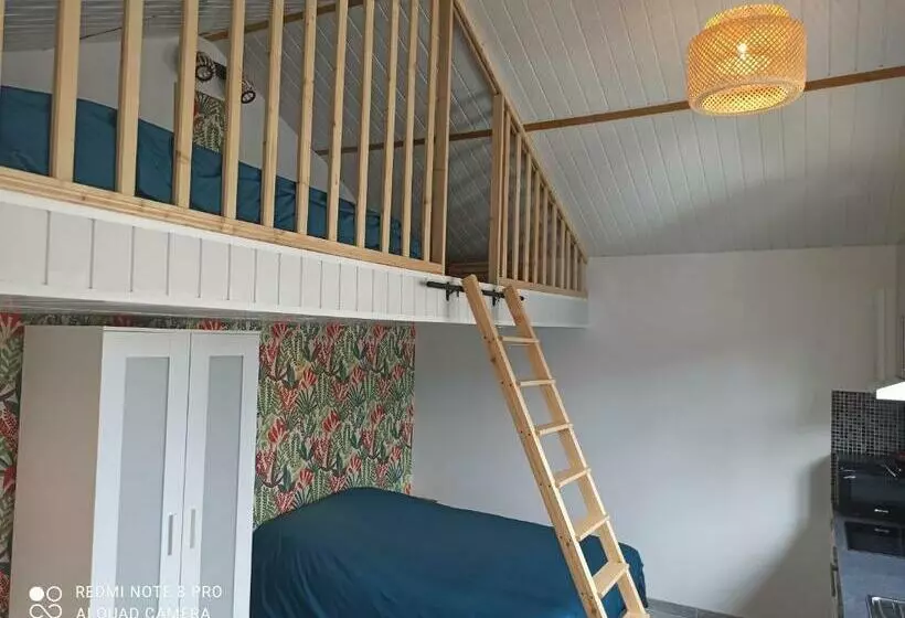 Maisonnette Indépendante 4 Personnes Jardin Terrasse