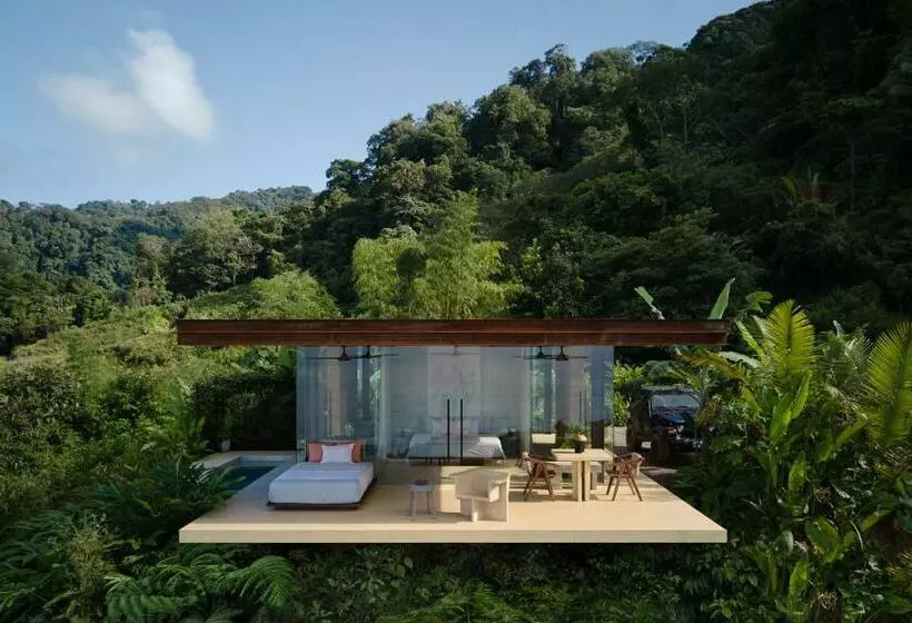 Achioté Architectural Gem Adults Only