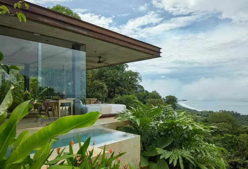 Achioté Architectural Gem Adults Only