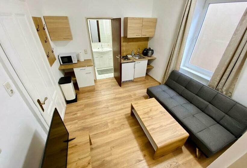 Apartment Loser Im Zentrum