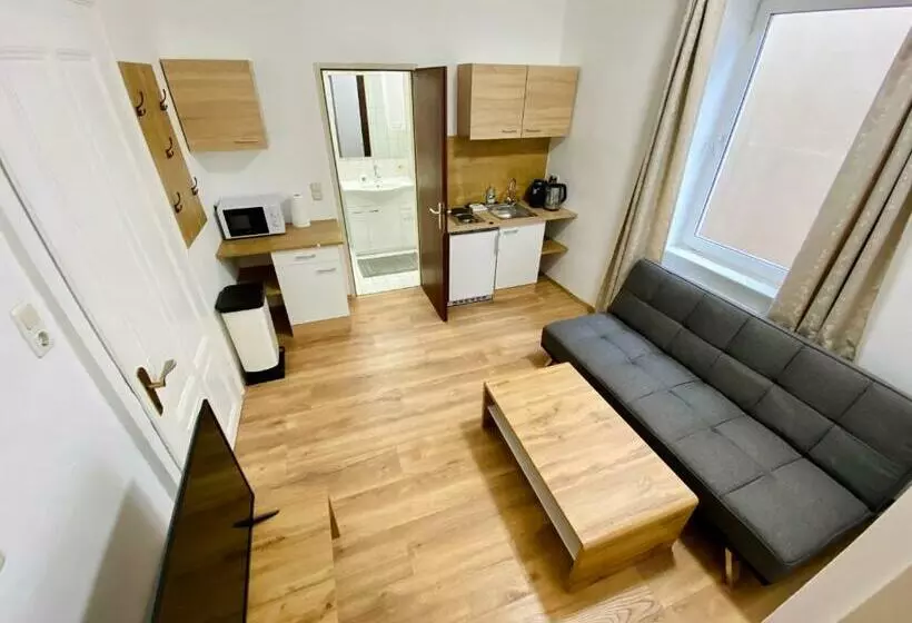 Apartment Loser Im Zentrum