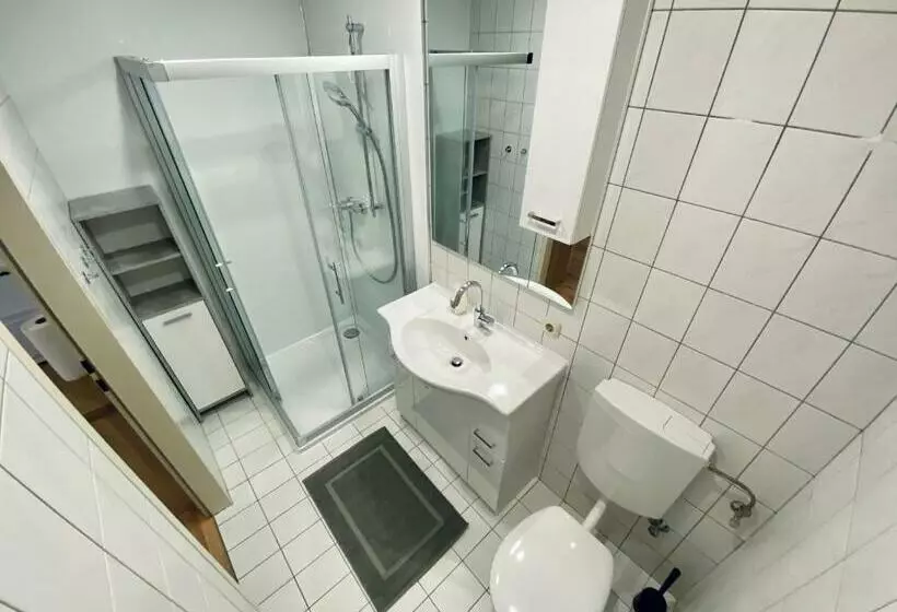 Apartment Loser Im Zentrum