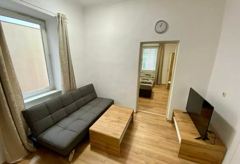 Apartment Loser Im Zentrum