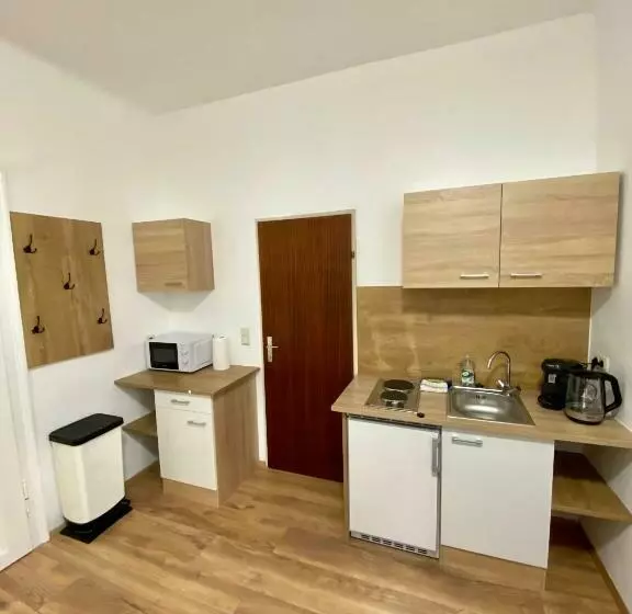 Apartment Loser Im Zentrum