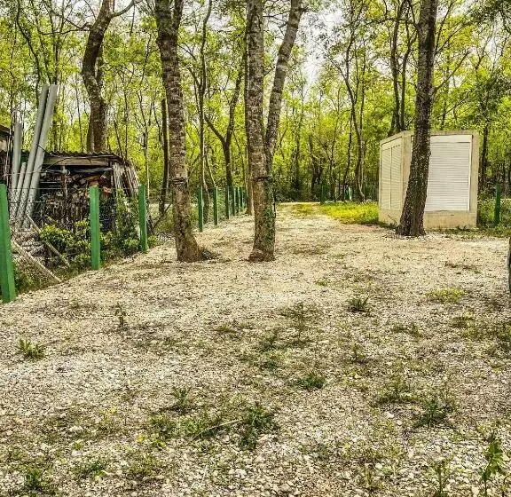 Cottage Anastasija