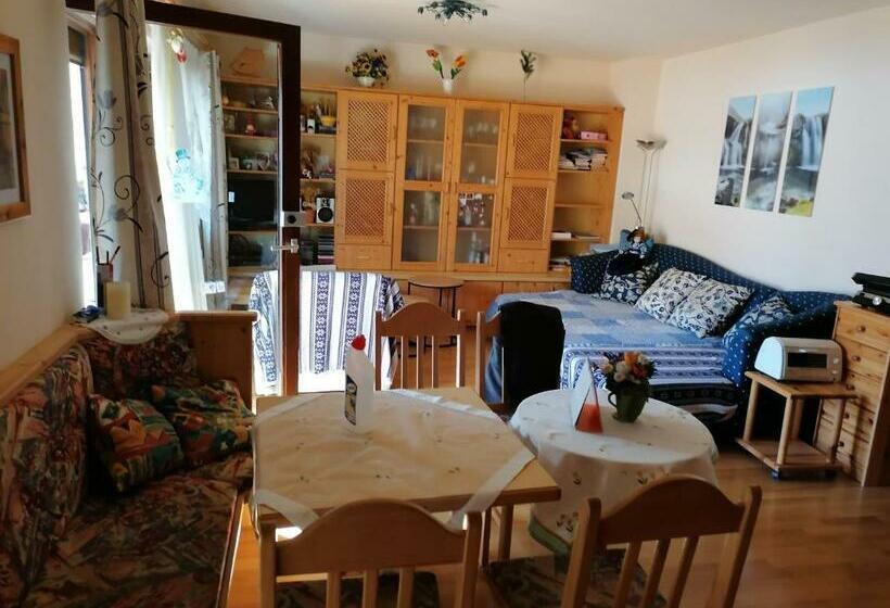 Familienfreundliches Selbstversorger Appartement Im Gasteiner Tal 80 Km Südlich Der Stadt Salzburg