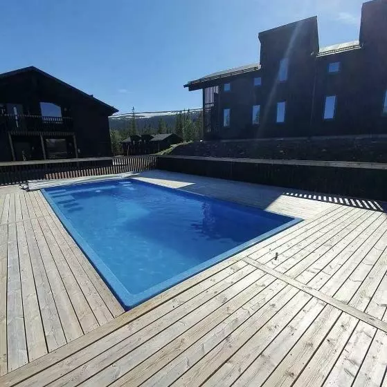 Fjällnära Skilodge 19