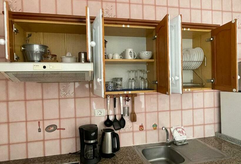 Apartamentos Piedra De La Garza 1a