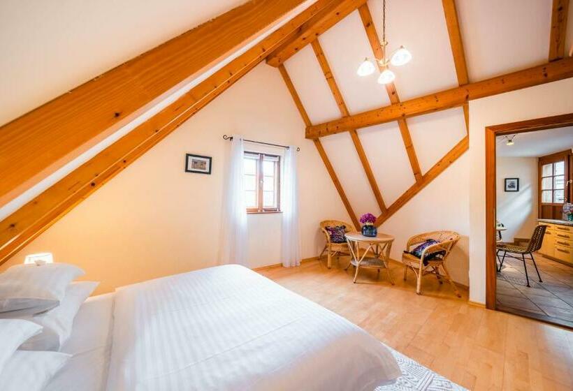 Smile Apartments Mit Donaublick