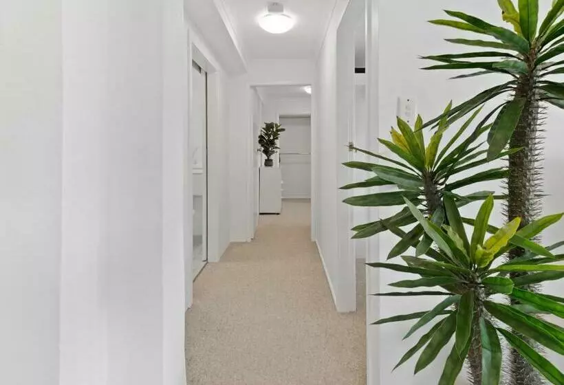 Allinga Apartment