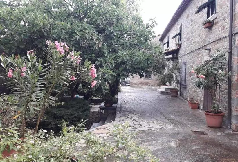 Il Fico Di Cortona