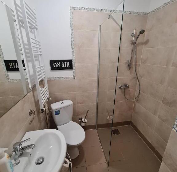 Central Studios Sibiu