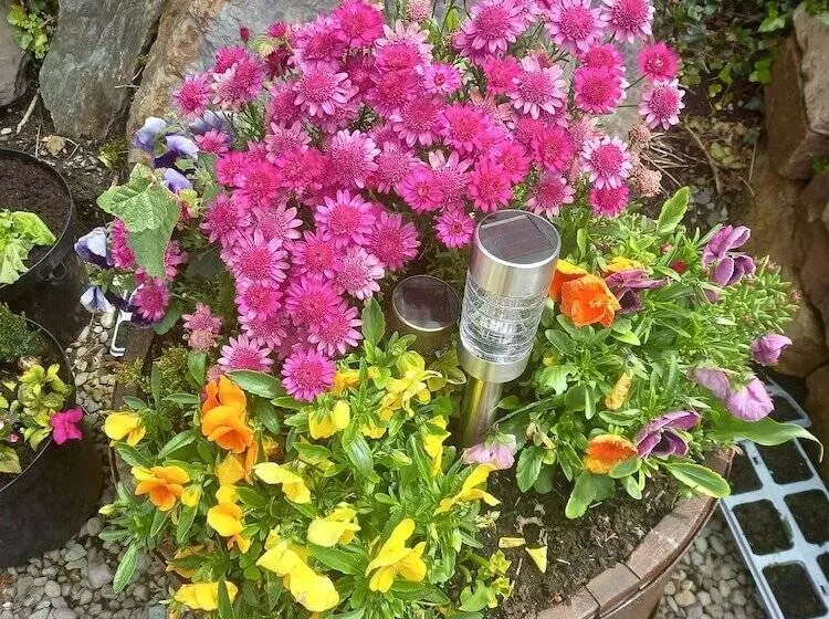 Stunning 1 Bed Apartment Valentia Island