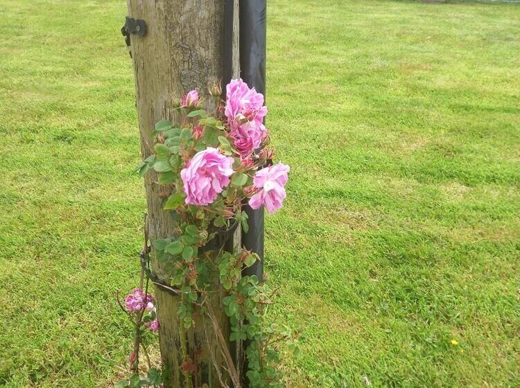 Stunning 1 Bed Apartment Valentia Island