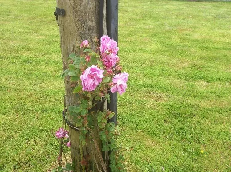 Stunning 1 Bed Apartment Valentia Island