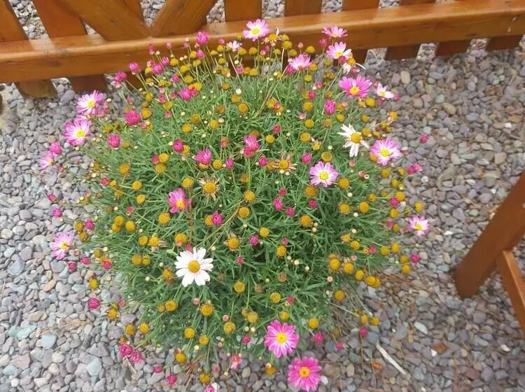 Stunning 1 Bed Apartment Valentia Island