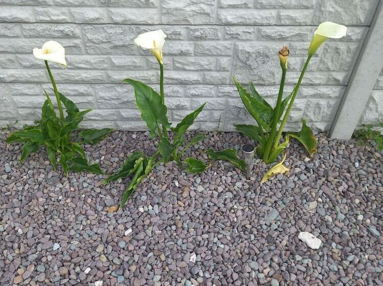 Stunning 1 Bed Apartment Valentia Island