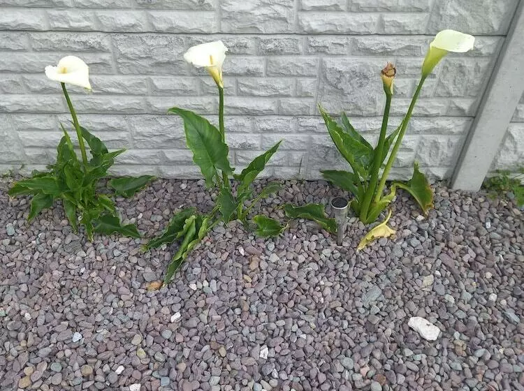 Stunning 1 Bed Apartment Valentia Island