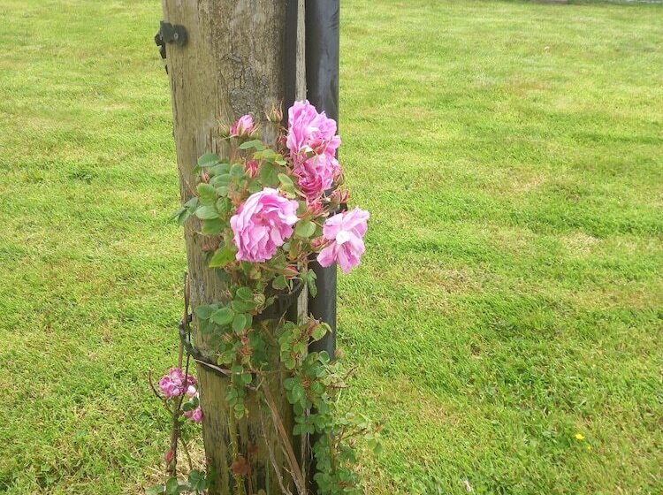 Stunning 1 Bed Apartment Valentia Island