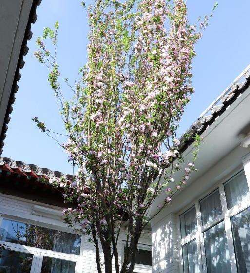 호텔 Peking Garden Boutique